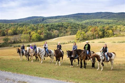 Shenandoah Valley Virginia Horse Trail Rides North Mountain Outfitter