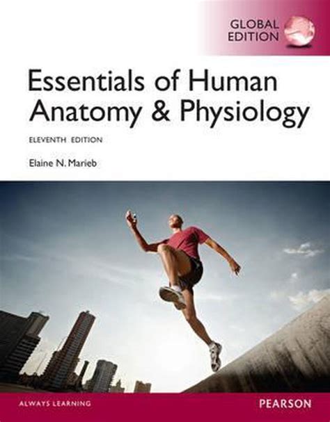 Essentials Of Human Anatomy Physiology With MasteringA P Global