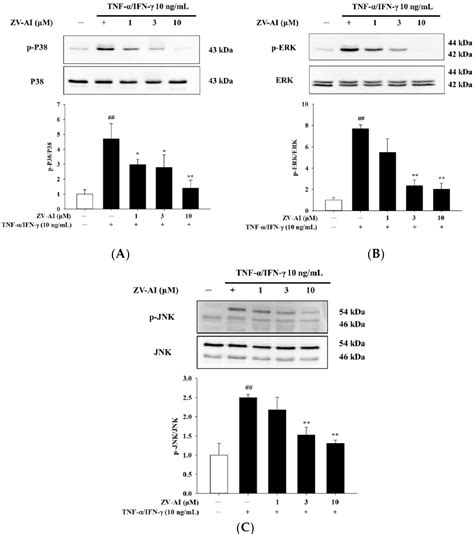 Figure 4 From Anti Atopic Dermatitis Activity Of Epi Oxyzoanthamine