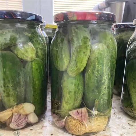 How To Make Homemade Ogorki Kiszone Easy Polish Dill Pickle Recipe