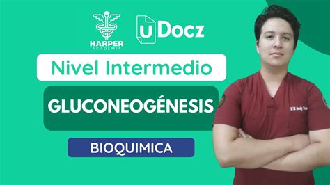 Gluconeogénesis con Harper Academia uDocz Nivel Intermedio YouTube