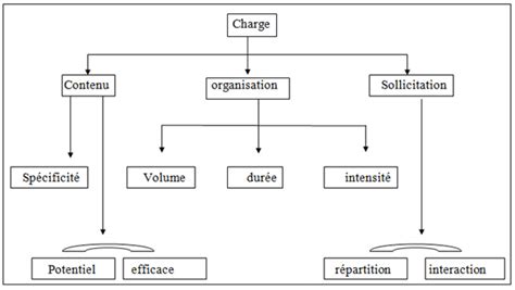 Principaux Crit Res Et Caract Ristiques De La Charge D Entrainement