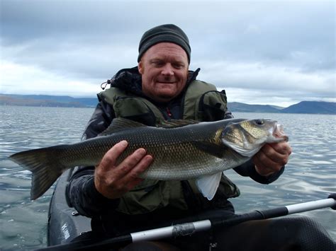 Sea fishing in Ireland and how I discovered it! – CelticFishing