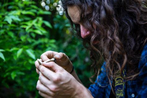 A Brief Introduction to Florida Mushroom Identification – Fungi Jon