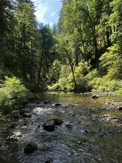 Photos of Abiqua Falls Trail - Oregon | AllTrails