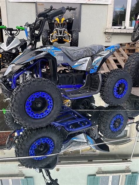 ATV Quad 1000 Watt 48 Volt Inklusive Montage Im Kanton Aargau Tutti Ch