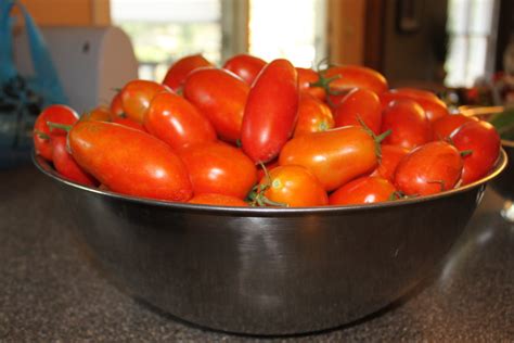 Classic Salsa Canning Recipe Made Straight From The Garden