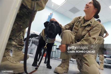 Occupational Therapist Photos And Premium High Res Pictures Getty Images