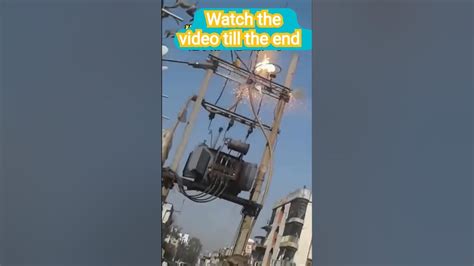 Monkey And Electricity|monkey got electric short|monkey gets electric ...