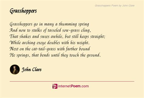 Grasshoppers Poem By John Clare