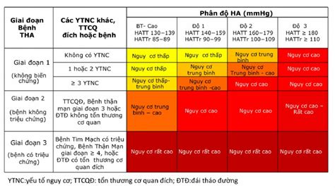 Giai Đoạn Tăng Huyết Áp Phân Loại Biến Chứng và Cách Điều Trị Hiệu Quả