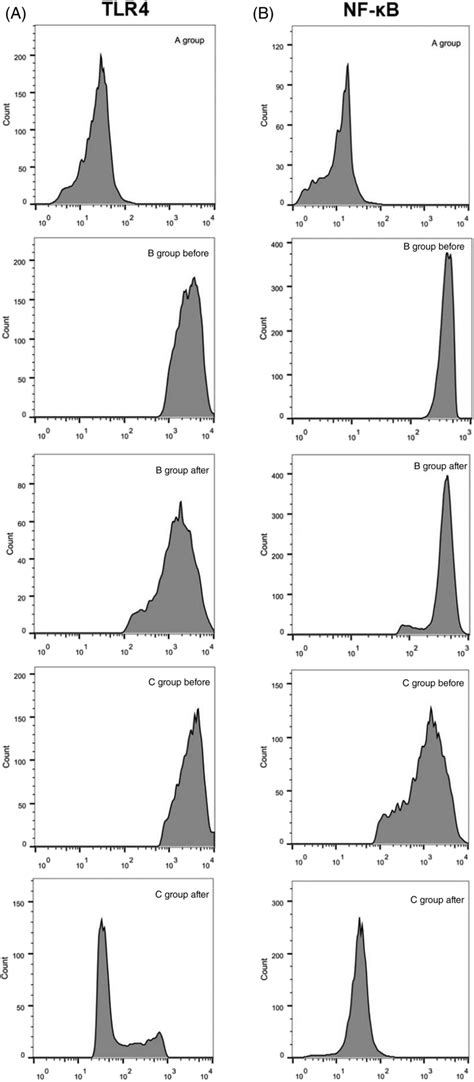 TLR4 and NFκB expression levels on PBMC in each group before and after