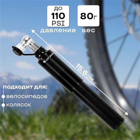Насос для велосипеда ручной West Biking ниппель Schrader/Presta, с ...