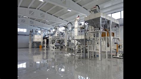 Sesame Seed Processing Plant - High-Capacity Multi Seed Cleaning ...