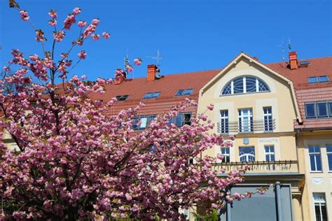 Kedzierzyn Kozle Town Poland Editorial Stock Photo Image Of