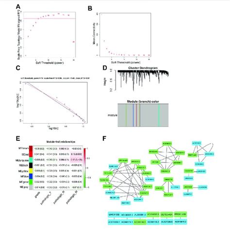 The Processes Of Screening The Hub M A Lncrnas A Analysis Of The