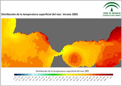 Imágenes de temperatura superficial del mar SST Análisis estacional