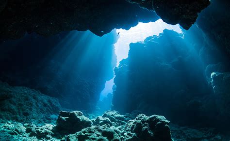 The Deep | World Science Festival