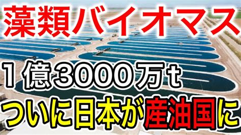 【朗報】日本が産油国に！もう輸入に頼らない！藻類バイオマスエネルギー【日本の凄いニュース】 Youtube