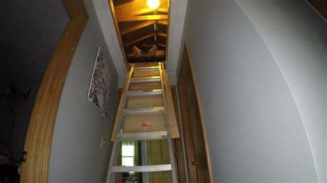 Camcaught Pornhub Gay