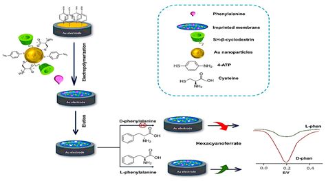 Chemosensors Free Full Text MetalOrganic Frameworks Based