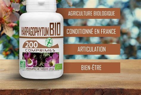 Les Bienfaits De L Harpagophytum Bio