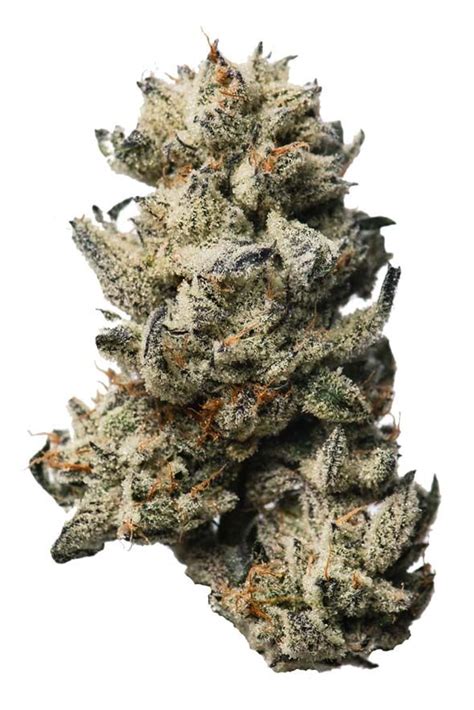 Oreoz Strain | Proper Cannabis