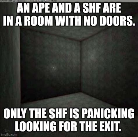 Fuck You Pay Me R Superstonk