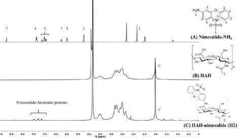 The Representative 1 H Nmr Spectra Of A Nimesulide Nh2 D6 Dmso Nt Download Scientific