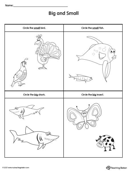 Big And Small Worksheet Animals