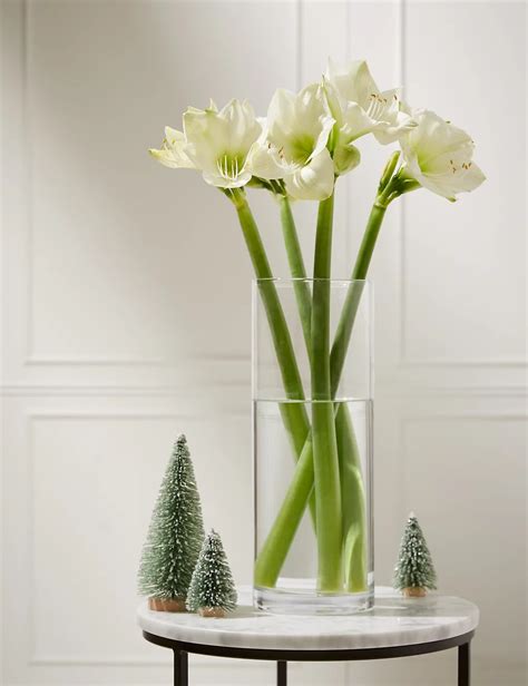 White Amaryllis Bouquet | M&S