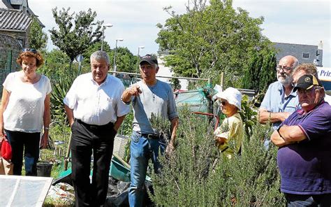 Jardins Familiaux Parcelles Pour Cultiver La Mixit Sociale Le