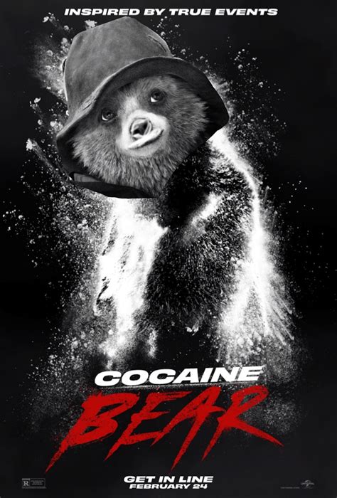 The real truth behind Paddington : r/memes