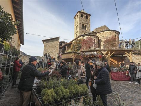 Els Cultivadors Darbres De Nadal Augmenten Les Vendes Un 20 J C F