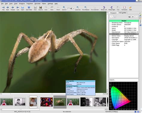 photo editing software  management tools light