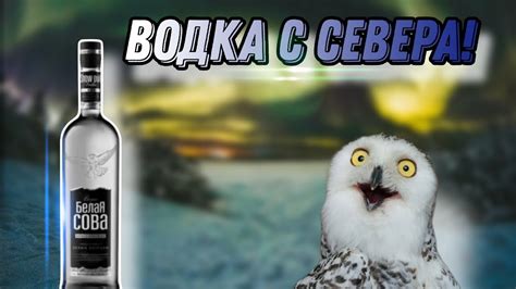 Обзор водки Белая сова классическая! Вкусная северная водка!? - YouTube