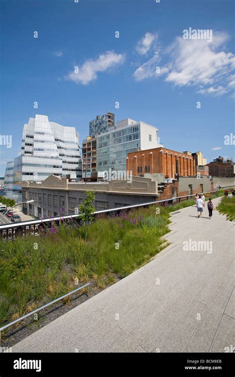 The High LIne Park, Chelsea, Manhattan, New York Stock Photo - Alamy