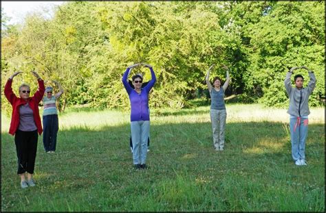 Reims Cours De Qi Gong Plein Air Parcs Parc De Champagne Parc