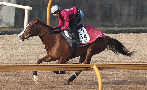 【中山牝馬s】アートハウス迫力満点！cwラスト11秒2、中内田師「引き続きいい状態」 スポニチ競馬web