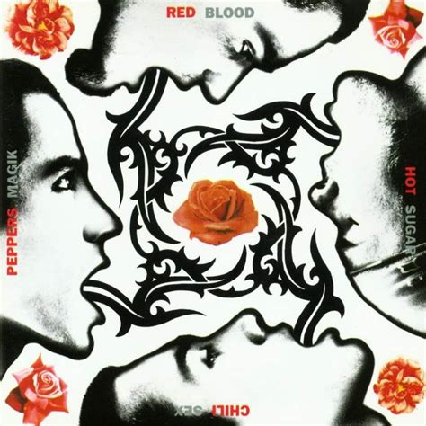 Red Hot Chili Peppers Blood Sugar Sex Magic Vinyl Pop Music