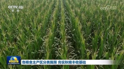 各粮食主产区分类施策 夯实秋粮丰收基础农业农村部新浪新闻