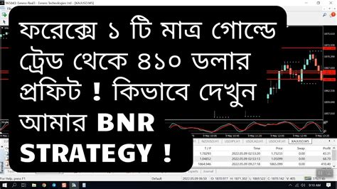 Forex Bangla Tutorial ট্রেডিং করে ইনকাম ৪১০ ডলার ১টি ট্রেড থেকে