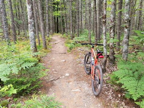 Trails for beginners - Bicycling - ECMTB