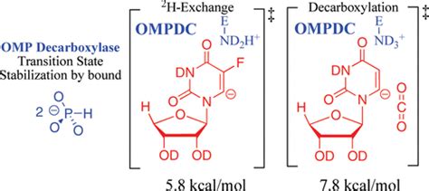 Omp Decarboxylase Phosphodianion Binding Energy Is Used To Stabilize A