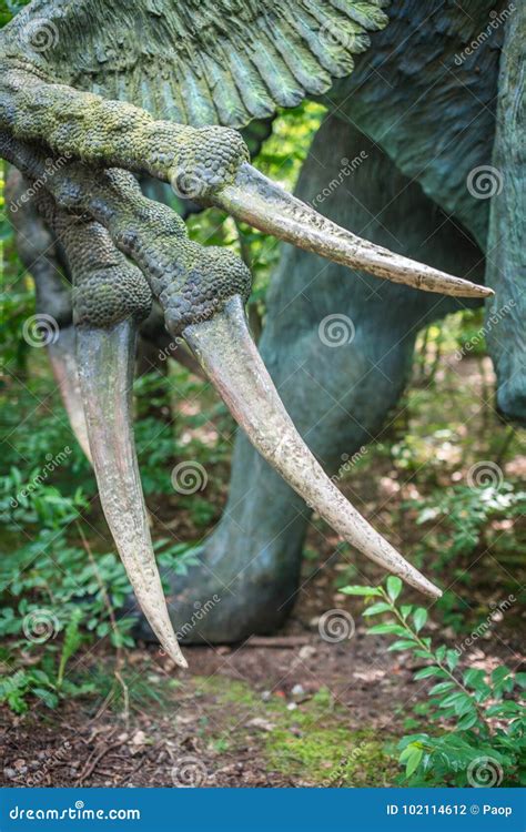 Когти ящерицы косы Therizinosaurus Стоковое Фото - изображение ...