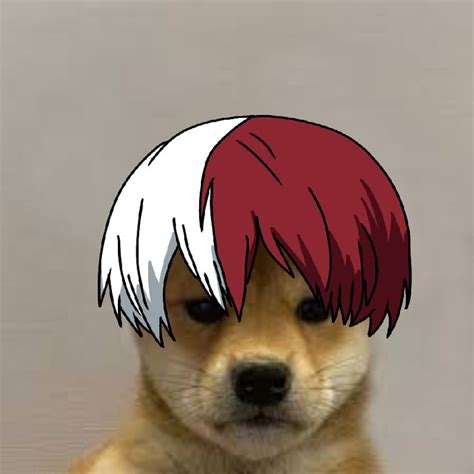 Pin on Doge anime pfps