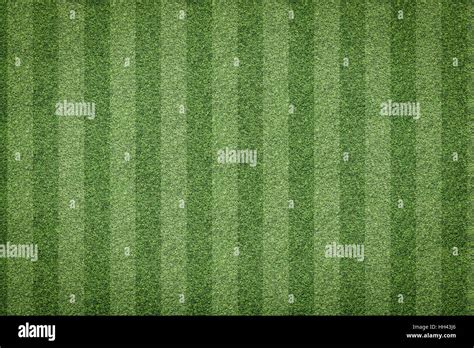 Grass Soccer Field Wallpaper