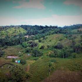 Fotos De Manzanas De Terreno A Orilla De Carret En Puerto Barrios