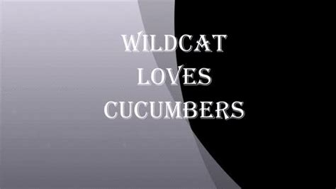 Wildcat Loves Cucumbers Topcat Productions Xxxl All Amateur Clips Sale