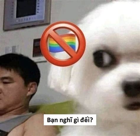 Tuyển chọn 769+ ảnh meme sẽ gầy bao hài, vui nhộn, hot trend